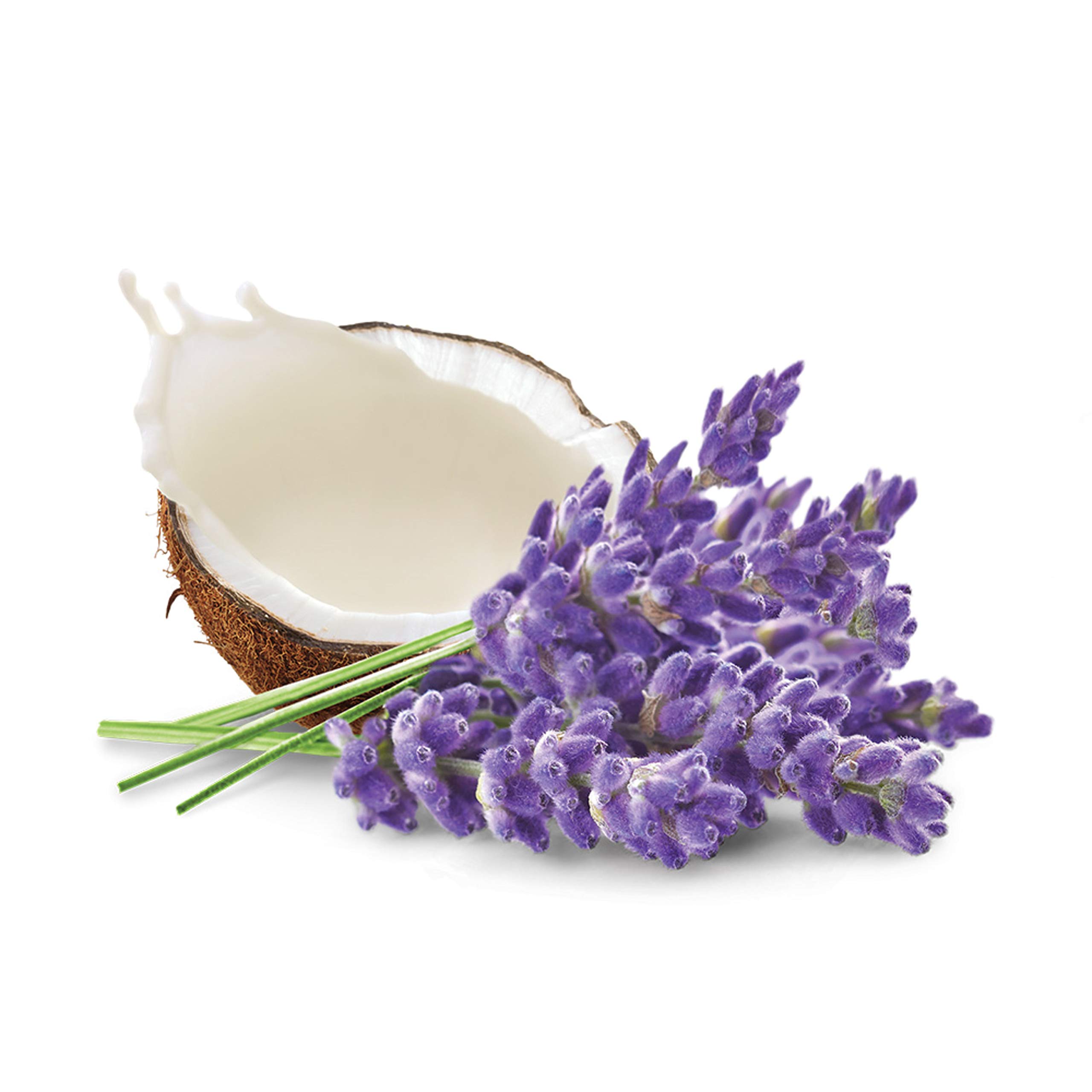 Foto 4 pulgar | Crema Corporal Dove Whipped Lavender And Coco Milk 300 Ml - Venta Internacional.