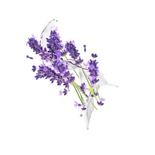 Foto 6 | Crema Corporal Dove Whipped Lavender And Coco Milk 300 Ml - Venta Internacional.
