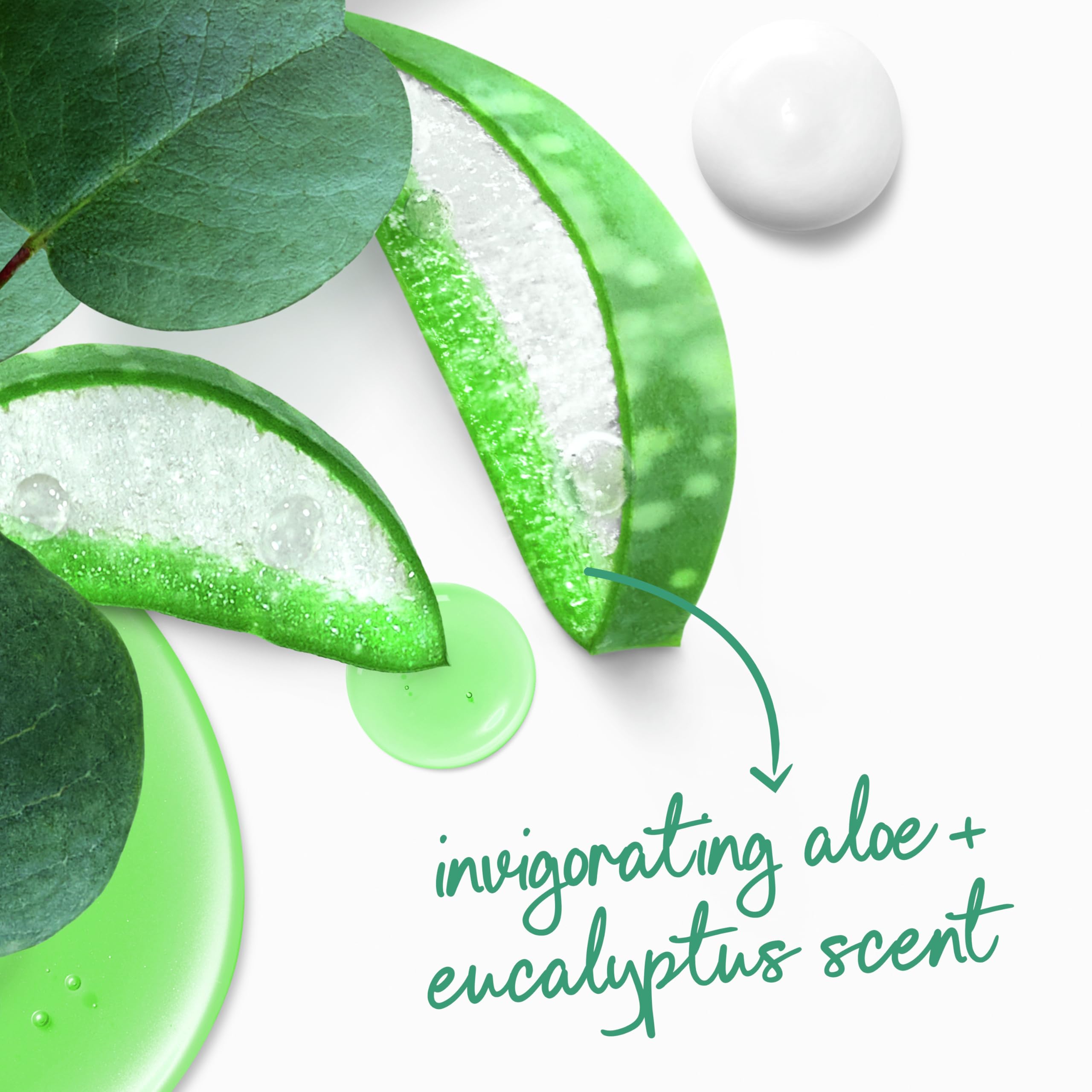 Foto 8 pulgar | Gel De Baño Dove Invigorate Con Aloe Y Eucalipto  900 Ml  Con Bomba - Venta Internacional.