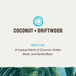 Foto 4 | Gel De Baño Every Man Jack Coconut + Driftwood & Amber 1 Litro Paquete De 2 - Venta Internacional.