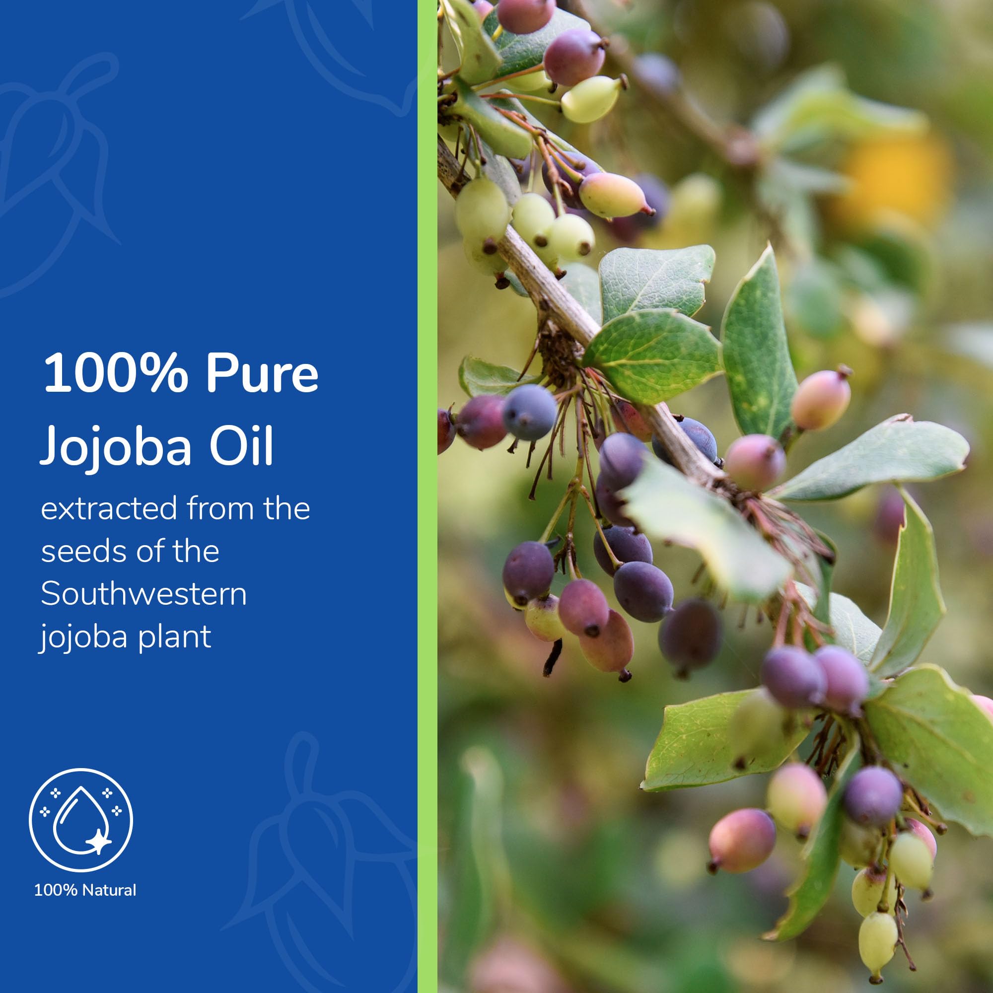 Foto 4 | Aceite De Jojoba Earth's Care 100% Puro Para Cabello  Piel Y Uñas  240 Ml - Venta Internacional.