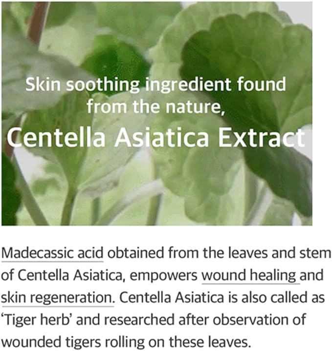 Foto 2 | Mezcla De Esencia Para Centella Asiática  50 Ml  1 69 Fl Oz