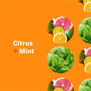 Foto 3 | Loción Para Manos Y Cuerpo Para Todos Nutritiva 960 Ml Menta Cítrica - Venta Internacional.