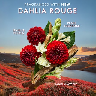 Foto 3 | Jabón de Manos Moroccanoil Dahlia Rouge 360 ml con Aceite de Argán - Venta Internacional