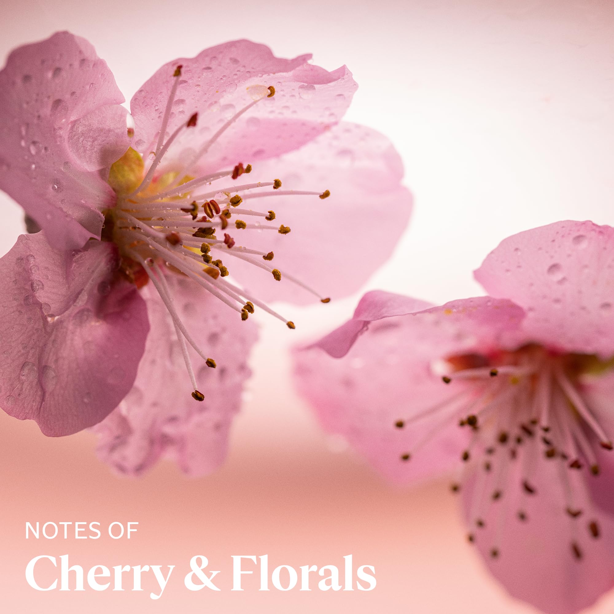 Foto 2 | Crema De Manos L'occitane Delicate Cherry Blossom 30 Ml - Venta Internacional