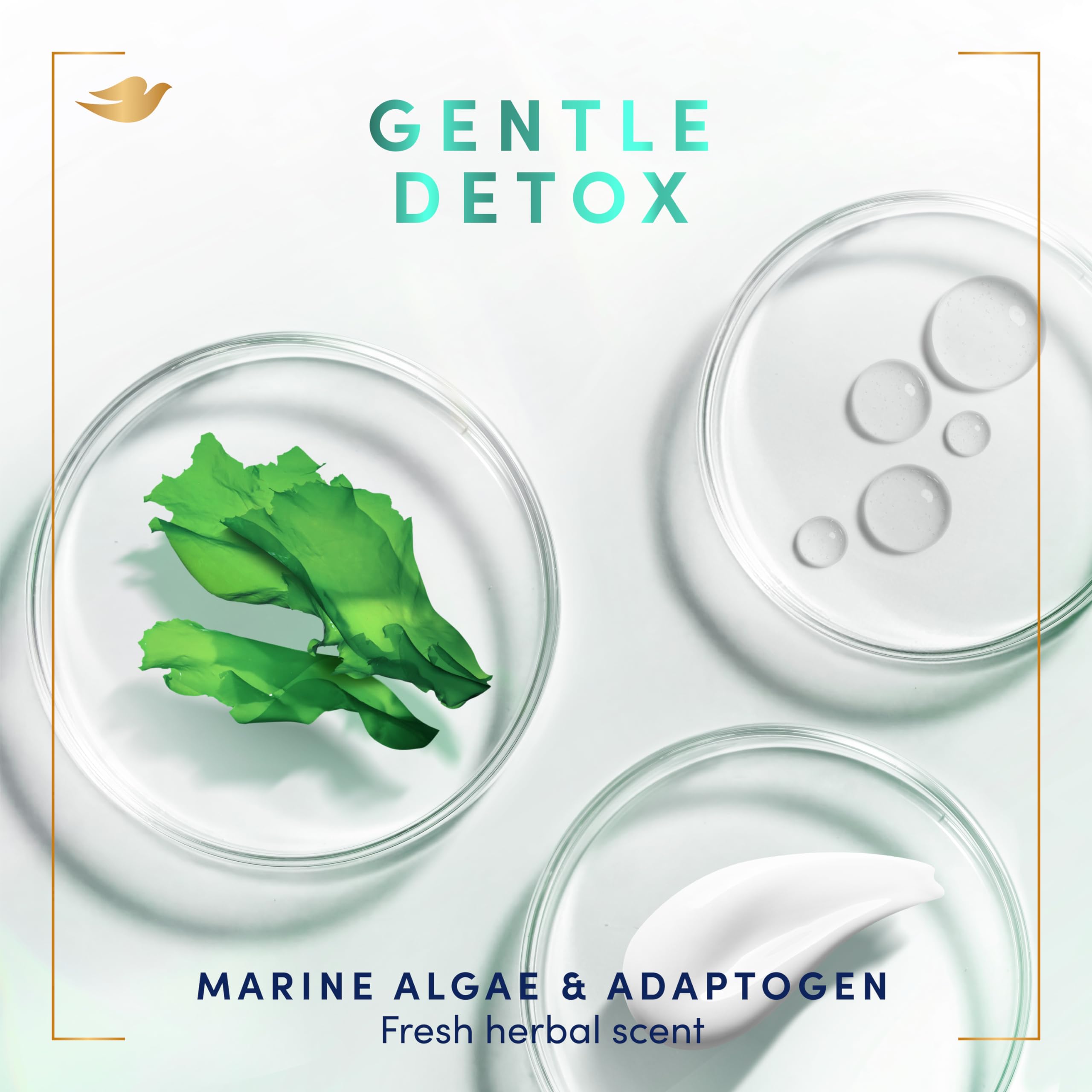 Foto 3 pulgar | Jabón De Manos Dove Prebiotic Boost Gentle Detox, 12 Ml, Paquete De 4 - Venta Internacional.