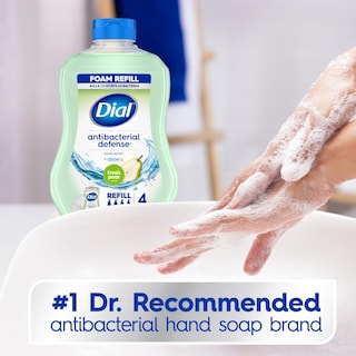 Foto 4 | Dial De Recambio Para Lavado A Mano, Antibacteriano, Color Pera Fresca, 900 Ml - Venta Internacional.