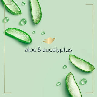 Foto 2 | Jabón Espumoso para Manos Dove Nourishing Aloe Eucalipto 300 ml Paquete de 6 - Venta Internacional