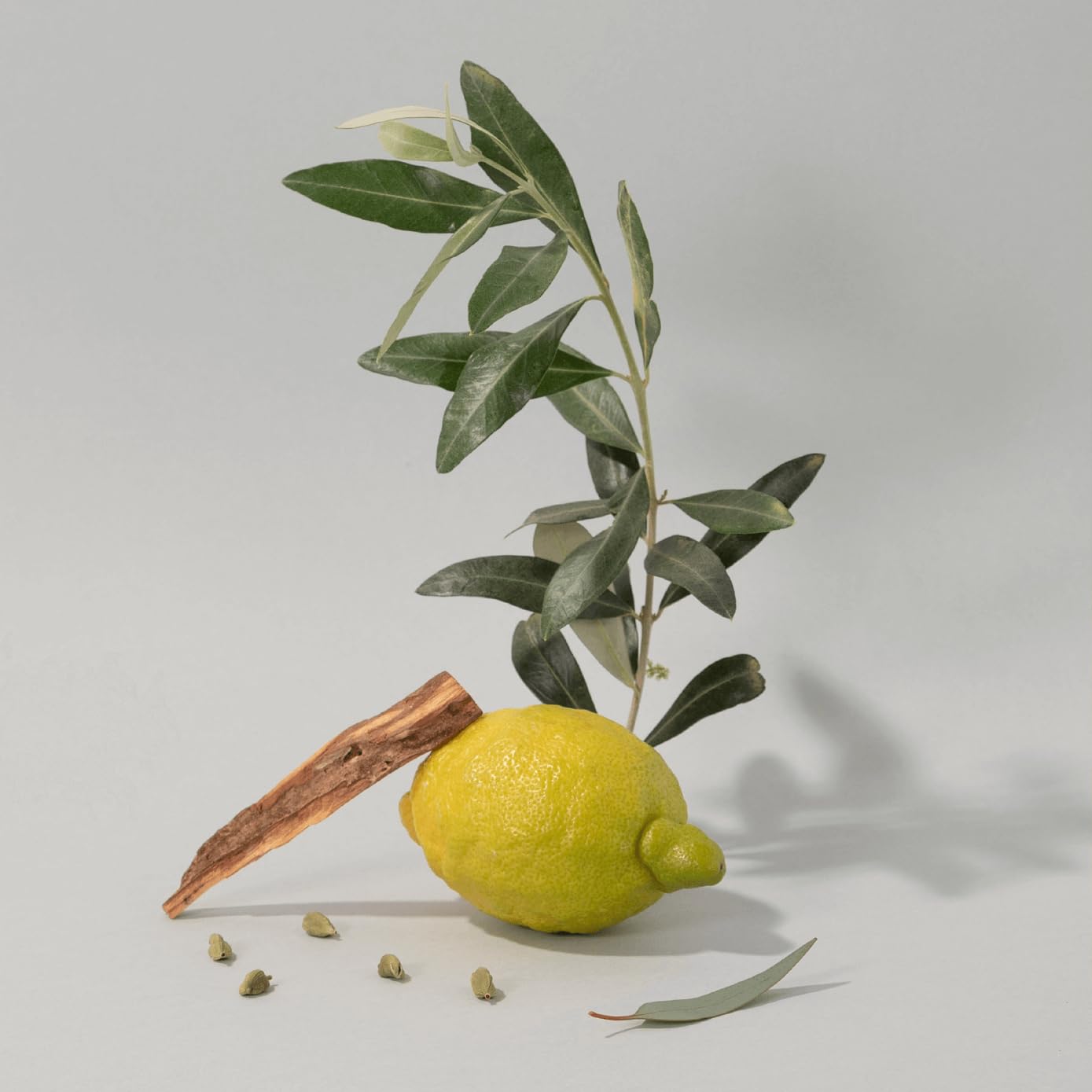 Foto 5 pulgar | Jabón Líquido La Compagnie De Provence Marseille 300ml Olive - Venta Internacional.