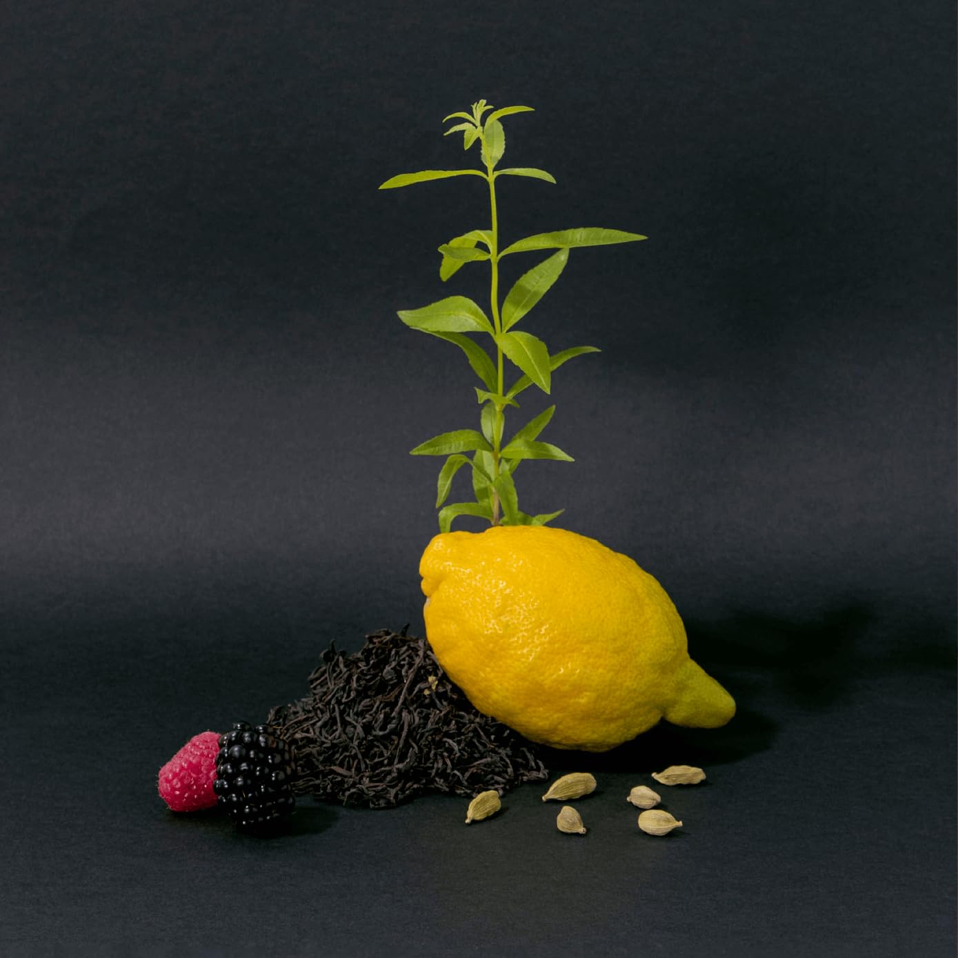 Foto 7 | Crema De Manos La Compagnie De Provence Té Negro 300ml - Venta Internacional.