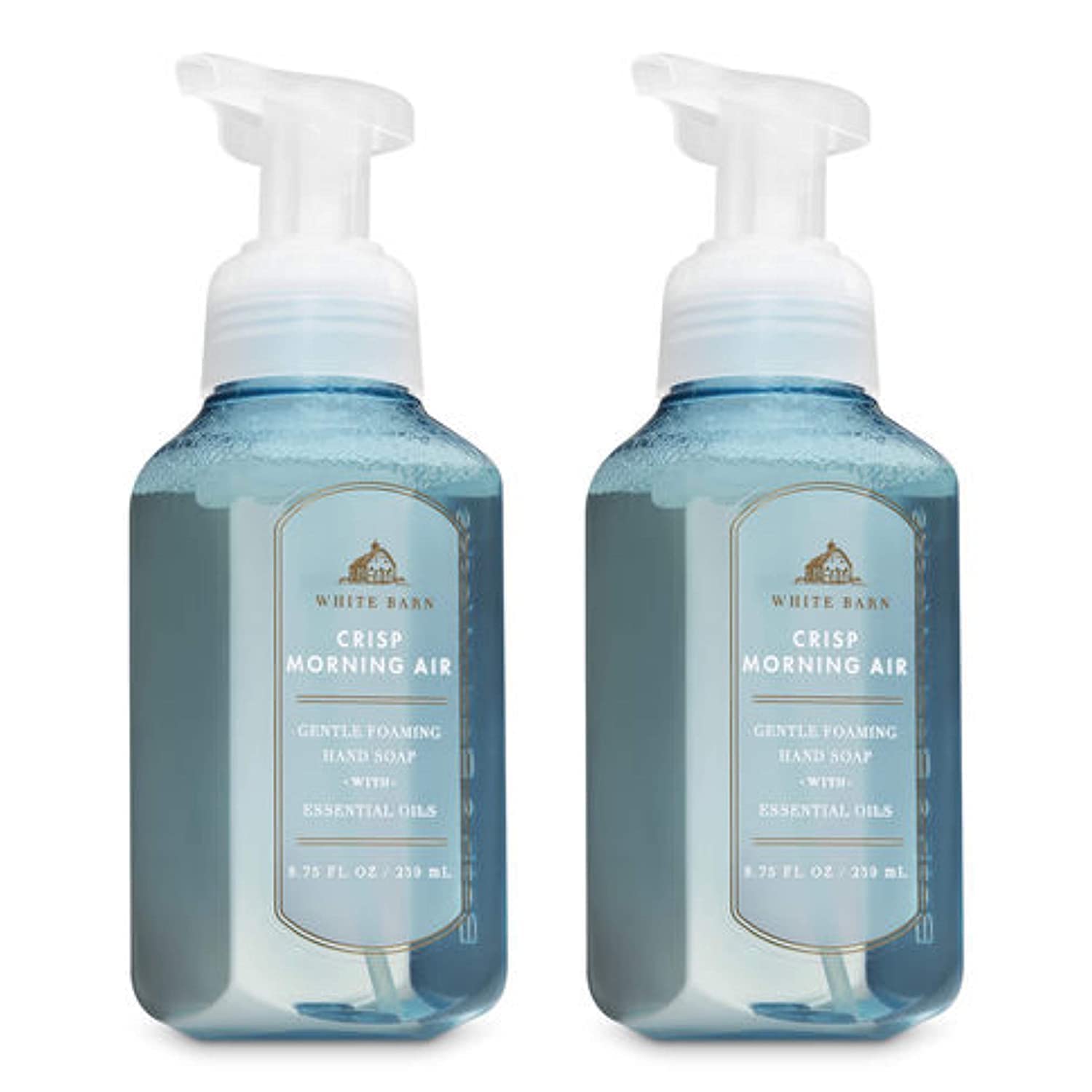 Foto 2 pulgar | Jabón De Manos Bath And Body Works Crisp Morning Air 250 Ml X2 - Venta Internacional.