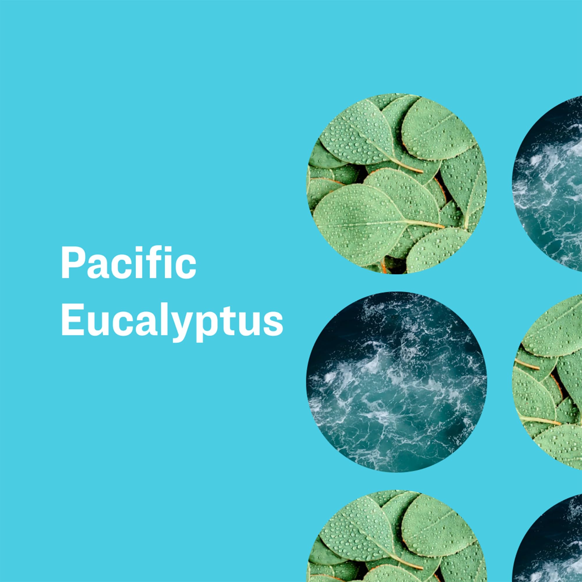 Foto 4 pulgar | Jabón Líquido Para Manos Everyone Pacific Eucalyptus 375 Ml X 3 - Venta Internacional.