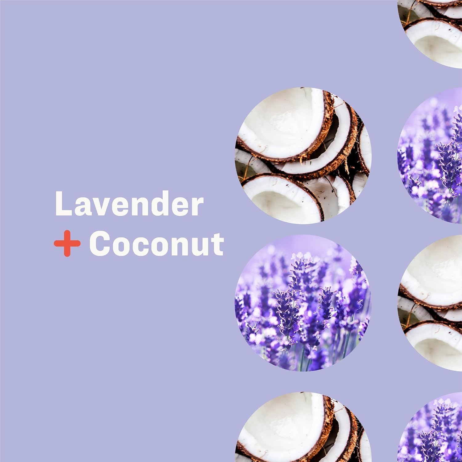 Foto 5 pulgar | Jabón Líquido Para Manos Everyone Everyone  12.75 Oz  Lavanda Y Coco - Venta Internacional.