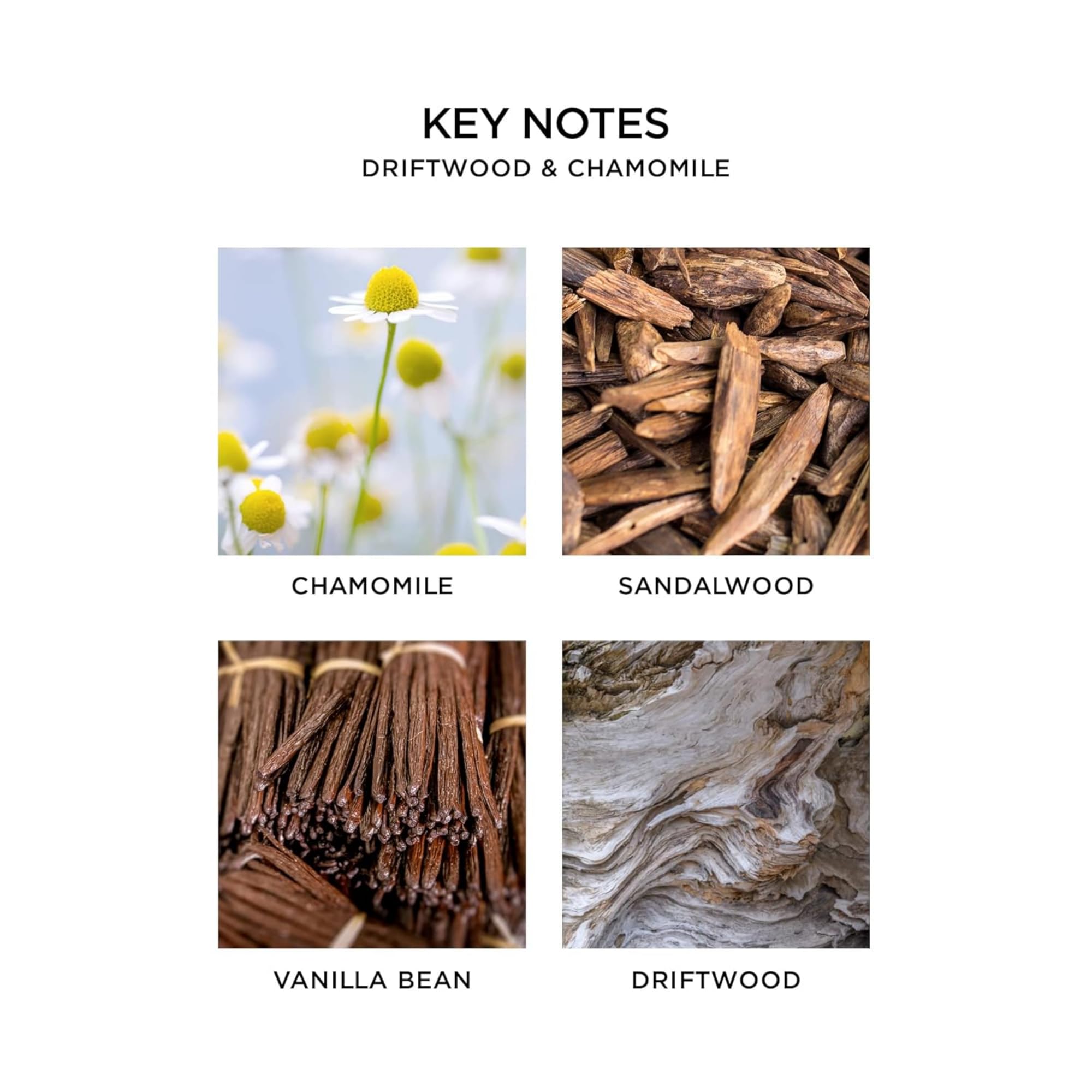 Foto 4 pulgar | Jabón Líquido Nest New York Driftwood & Chamomile 300 Ml - Venta Internacional.