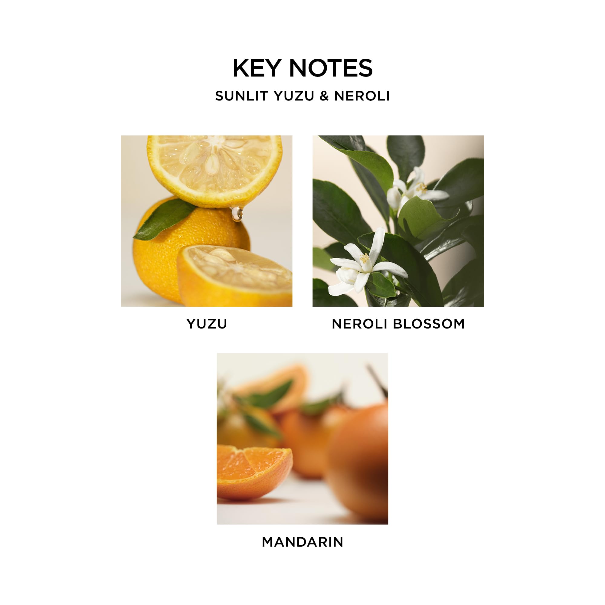 Foto 5 pulgar | Jabón Líquido Nest New York Sunlit Yuzu & Neroli 300ml - Venta Internacional.