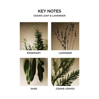 Foto 3 | Jabón Líquido Nest New York Cedar Leaf & Lavender 300ml - Venta Internacional.