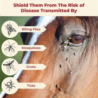 Foto 4 | Insecticida Para Caballos Fly Spray Absorbine Ultrashield, Color Rojo, 3,8 Litros - Venta Internacional.