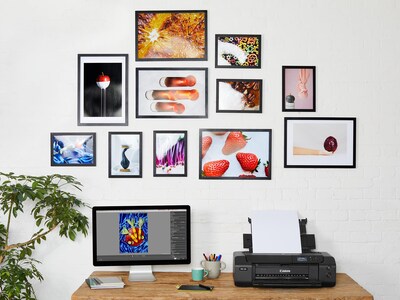 Foto 4 | Papel Fotográfico Canon Sg201 Photo Paper Plus Semibrillante A3 260 G, 20 Hojas - Venta Internacional.