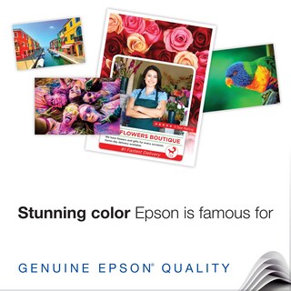 Foto 5 | Papel De Presentación Epson S041069l, Mate, 13 X 19, 102 G/m², 100 Hojas - Venta Internacional.