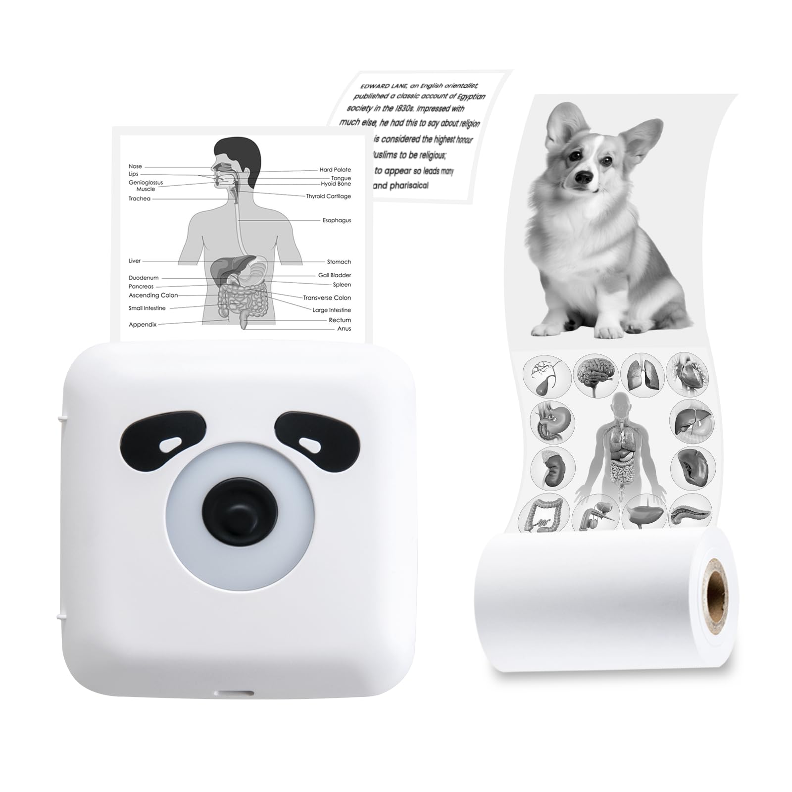 Impresora Térmica Portátil Vretti Tp6s Bluetooth 300dpi - Venta Internacional.