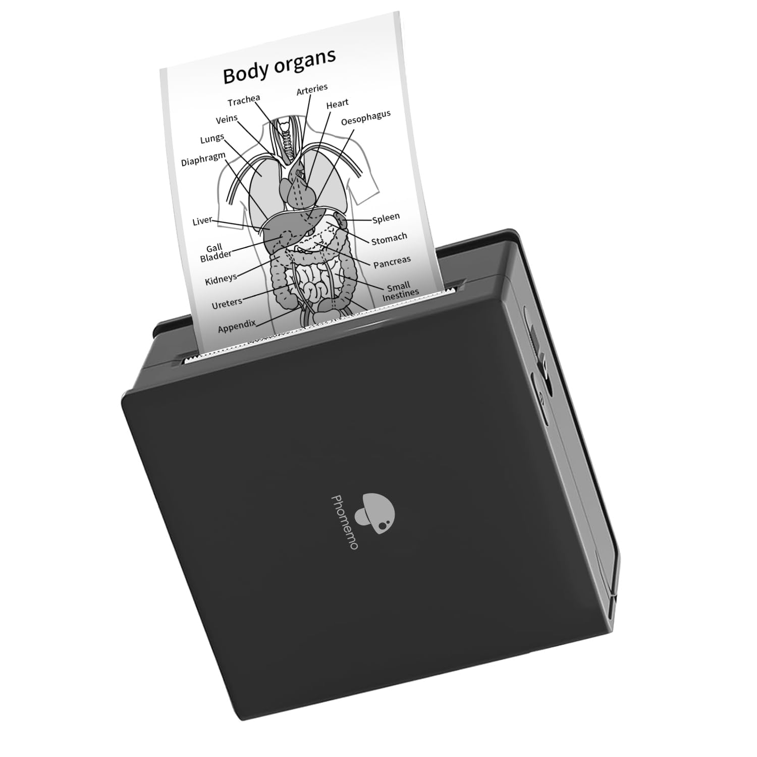 Foto 1 | Impresora De Bolsillo Phomemo M02 Inkless Note Bluetooth Negra - Venta Internacional.