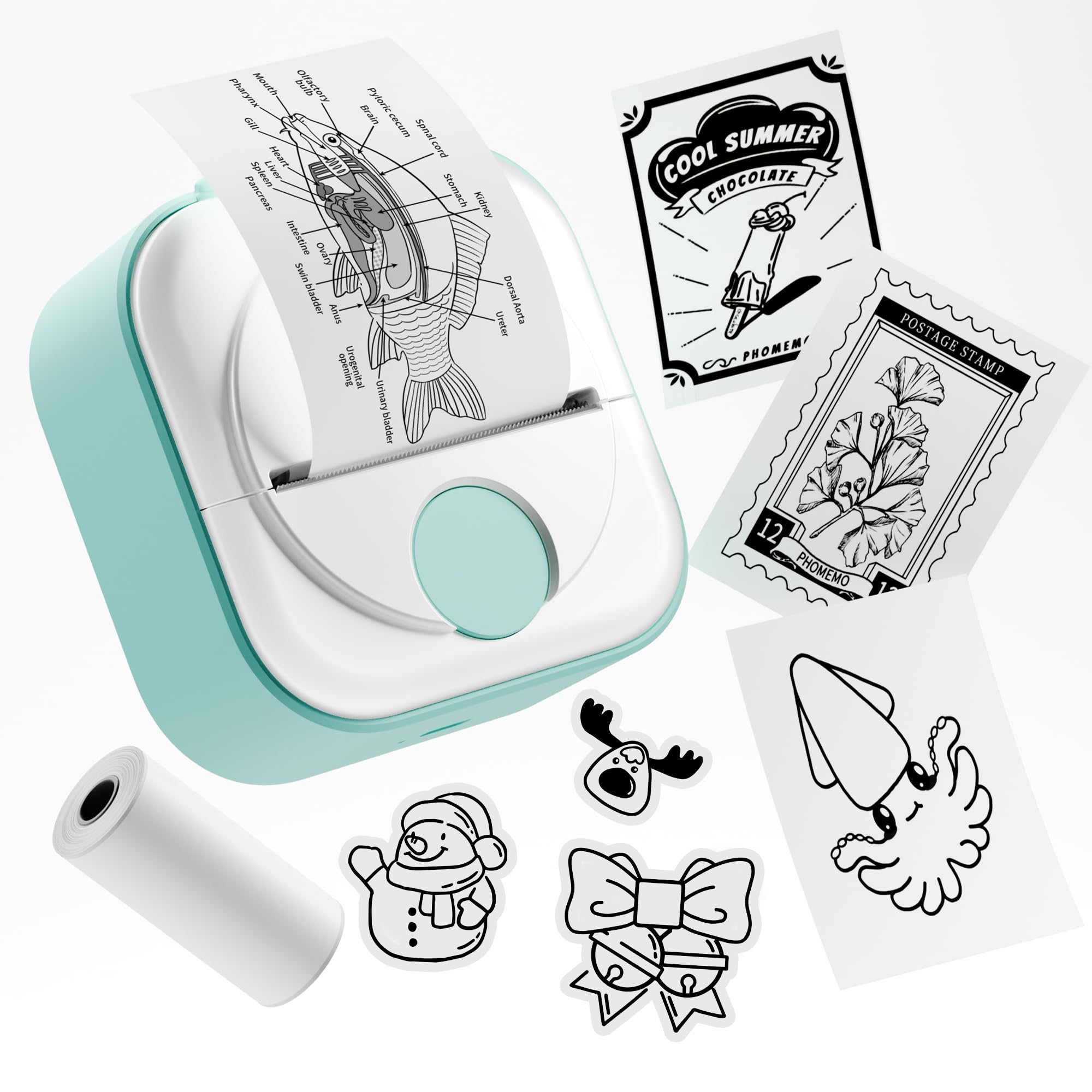 Mini Printer Phomemo Q02 Impresora Fotográfica Portátil Verde - Venta Internacional.