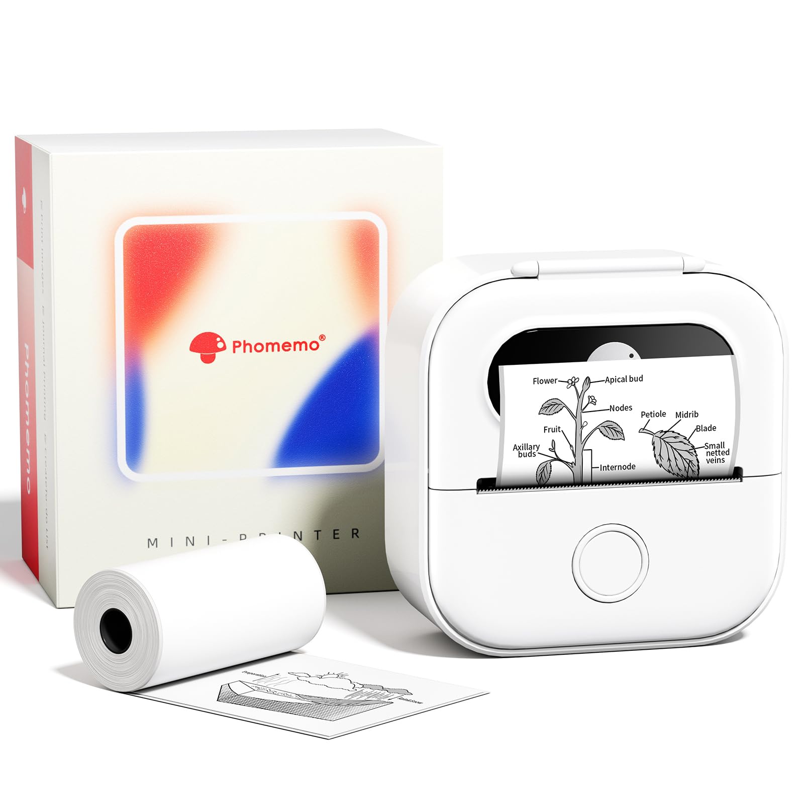 Impresora De Pegatinas Phomemo Y02c Mini Pocket Bluetooth Thermal - Venta Internacional.