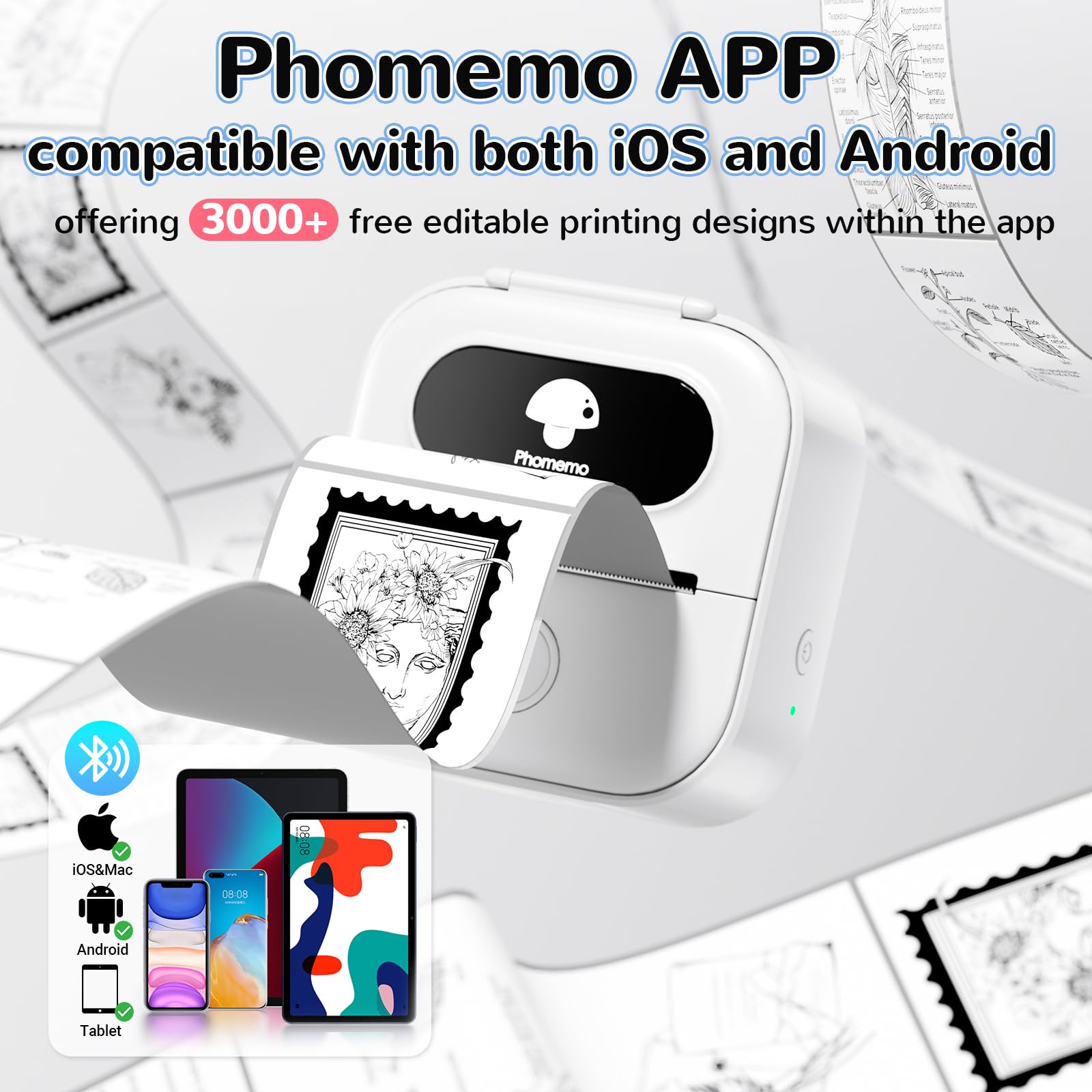 Foto 5 pulgar | Impresora De Pegatinas Phomemo Y02c Mini Pocket Bluetooth Thermal - Venta Internacional.