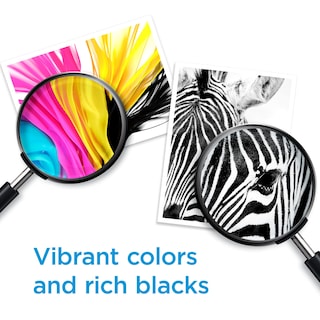 Foto 5 | Cartucho De Tinta Hp 67xl Tricolor De Alto Rendimiento Para Hp Deskjet - Venta Internacional.
