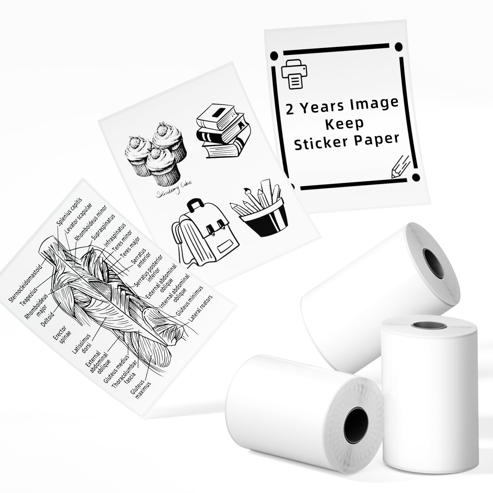 Foto 2 pulgar | Papel Adhesivo Phomemo T02/m02x/m02l, 50 Mm X 3,5 M, 3 Rollos - Venta Internacional.
