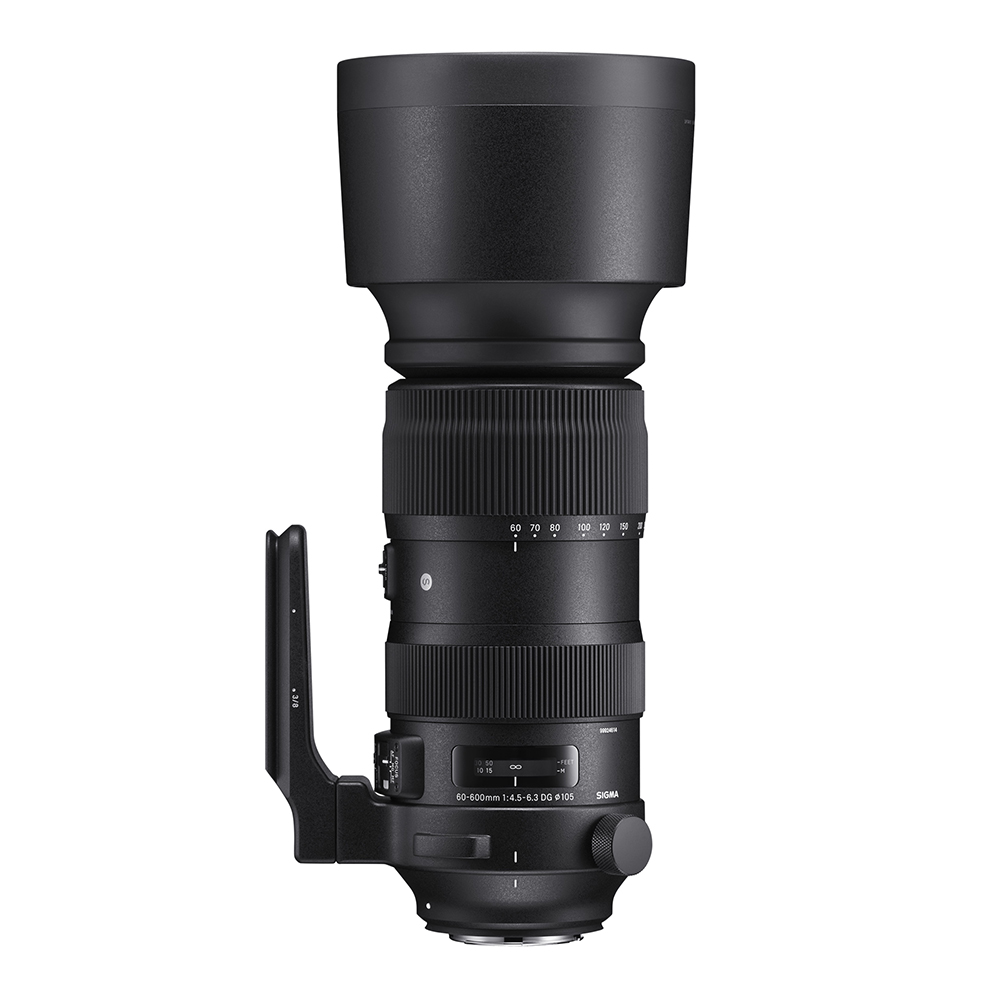 Lente Sigma 60-600mm F4.5-6.3 Dg Sports color Negro para Nikon F