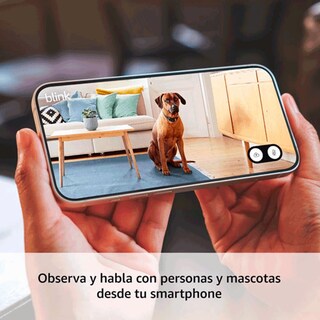 Foto 4 | Bundle Cámara De Seguridad Blink Mini 2 Con Enchufe Para Interior/exterior Color Blanco