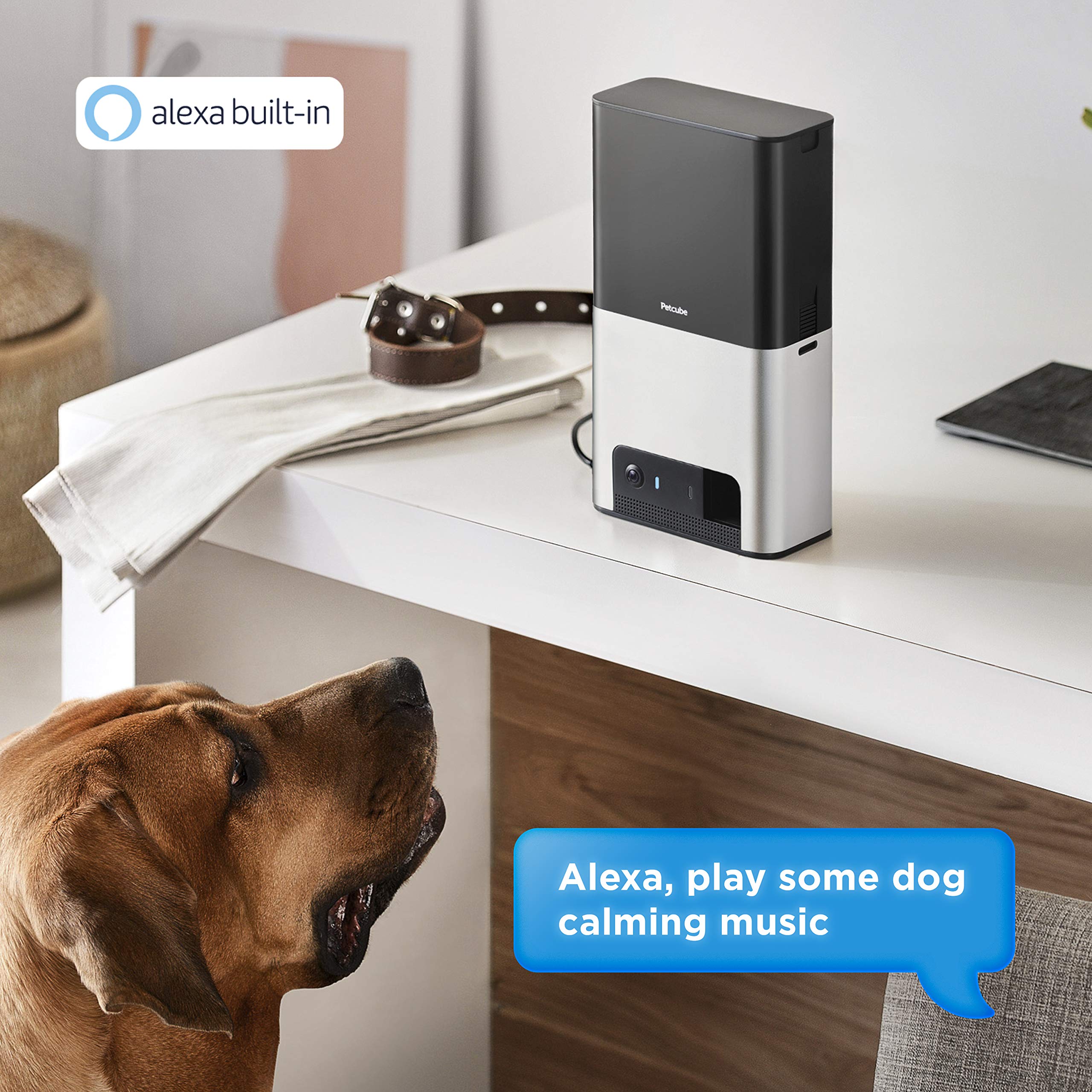 Foto 5 pulgar | Dispensador Alexa Con Cámara Para Mascotas Petcube Bites 2 H - Venta Internacional.