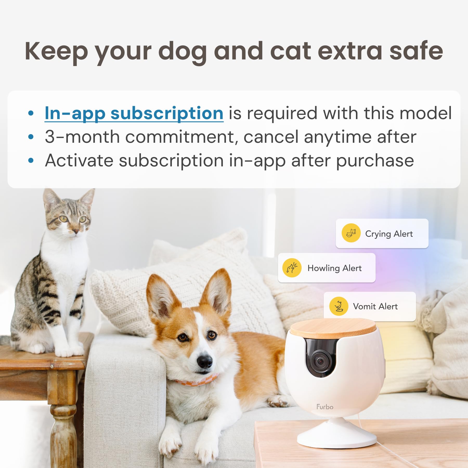 Foto 3 pulgar | Cámara Para Mascotas Furbo Mini New + Nanny Bundle Con Home Security - Venta Internacional.