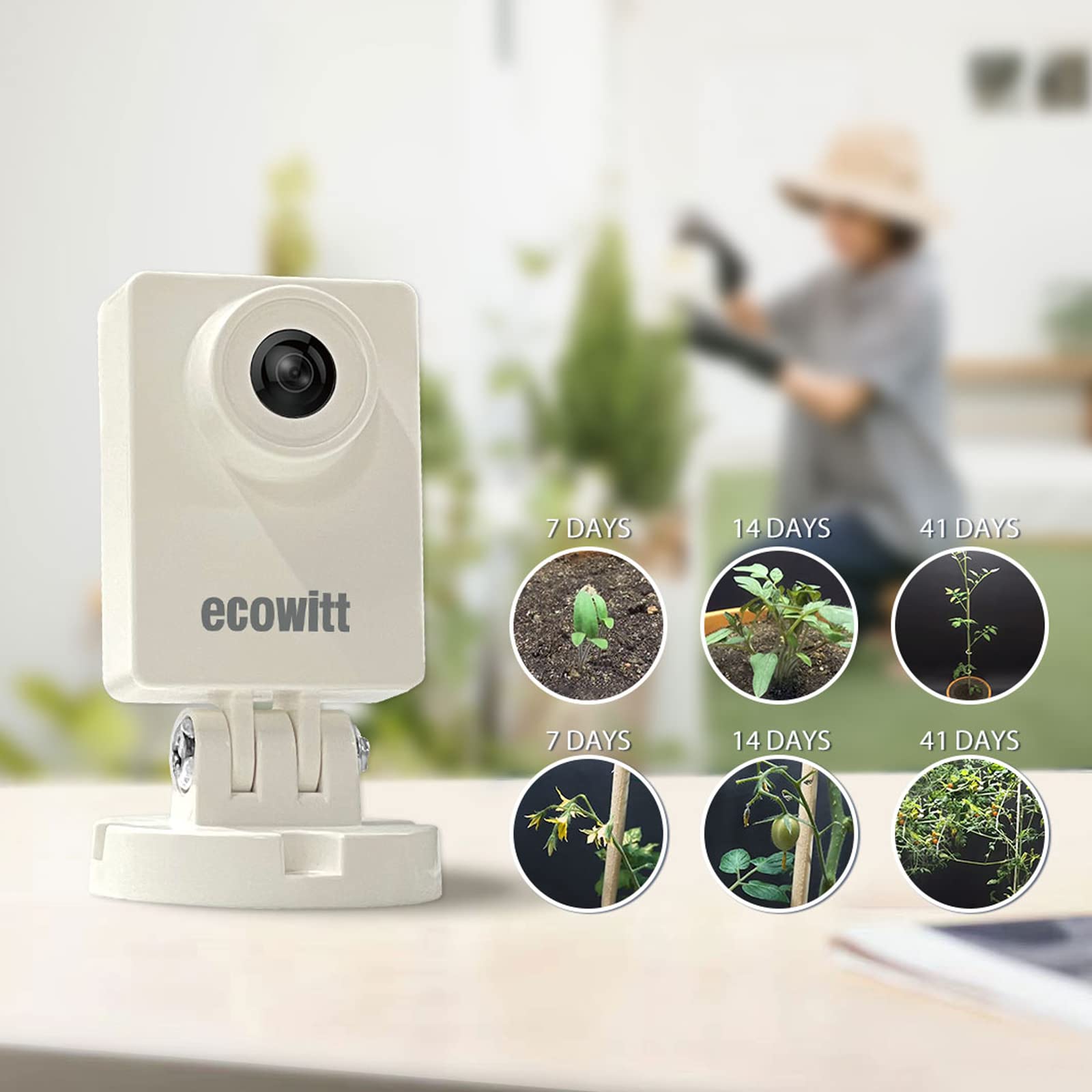 Foto 4 pulgar | Cámara Meteorológica Exterior Ecowitt Wittcam Hp10 Ip66 Impermeable - Venta Internacional.