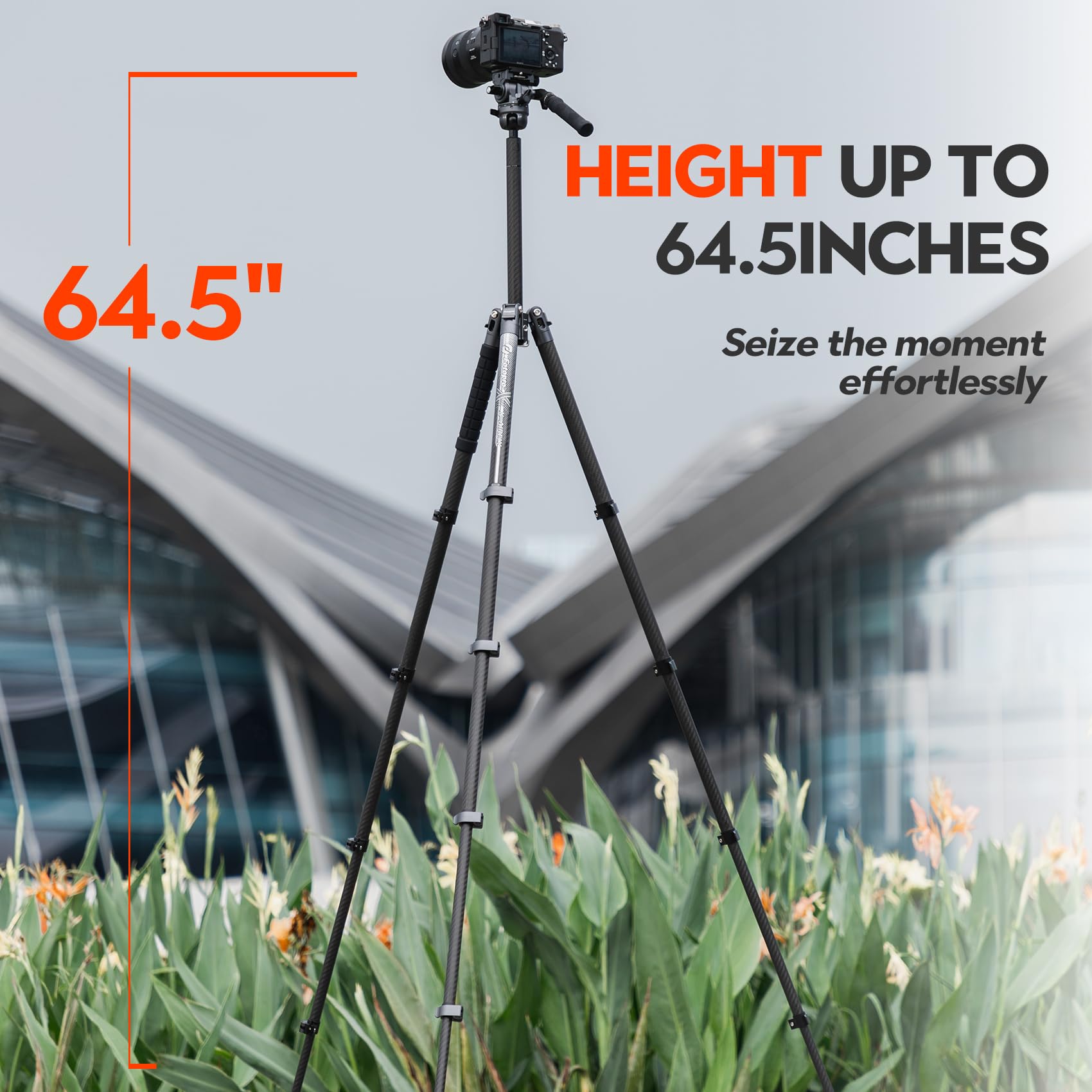 Foto 5 | Trípode Fotopro X-airfly Video De Fibra De Carbono De 165 Cm Con Cabezal Fluido - Venta Internacional.