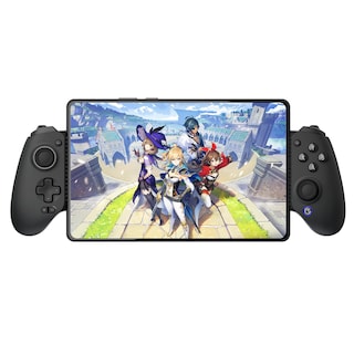 Foto 1 | Controlador de Juegos GameSir G8 Plus Bluetooth para Switch y Dispositivos Móviles - Venta Internacional