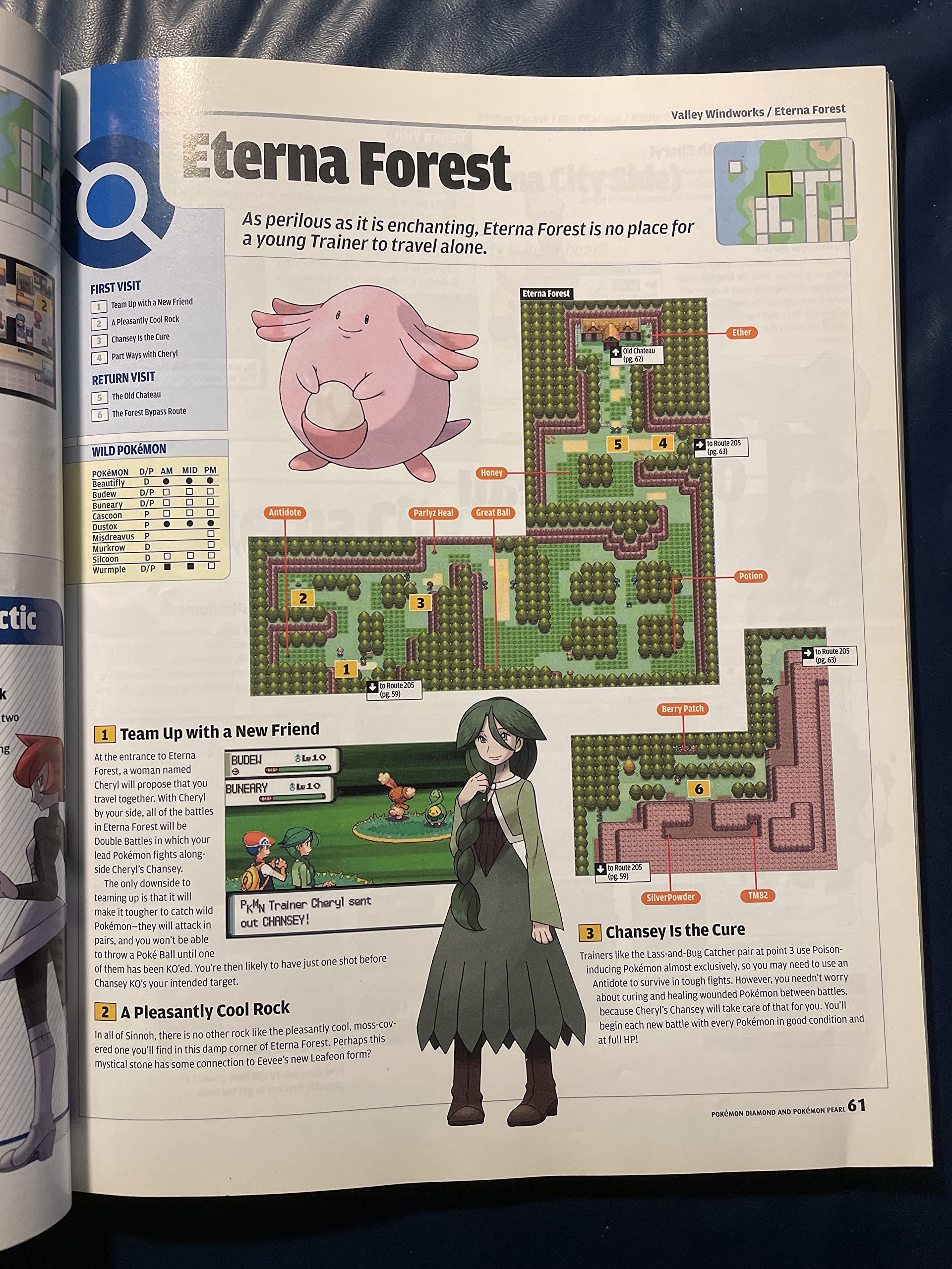 Foto 6 pulgar | Guía Del Jugador: Nintendo Pokémon, Versión Diamond & Pearl - Venta Internacional.
