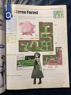 Foto 5 | Guía Del Jugador: Nintendo Pokémon, Versión Diamond & Pearl - Venta Internacional.
