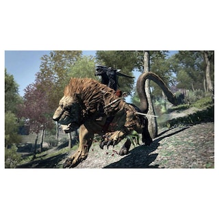 Foto 3 | Dragon's Dogma: Dark Arisen para Nintendo Switch - S010