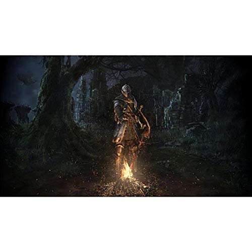 Foto 8 pulgar | Videojuego Dark Souls Remastered Playstation 4 - Venta Internacional.