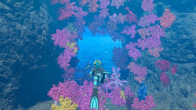 Foto 4 | Videojuego Nintendo Endless Ocean: Luminous Eu Import - Venta Internacional.