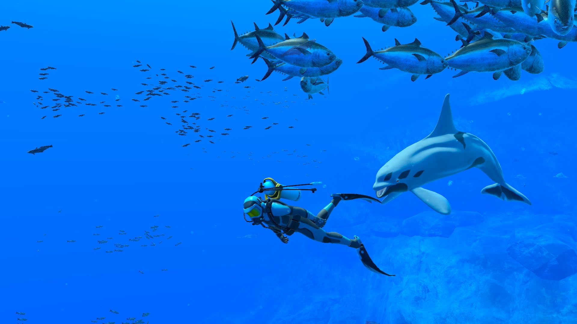 Foto 5 | Videojuego Nintendo Endless Ocean: Luminous Eu Import - Venta Internacional.