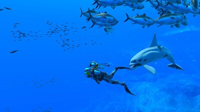 Foto 5 | Videojuego Nintendo Endless Ocean: Luminous Eu Import - Venta Internacional.