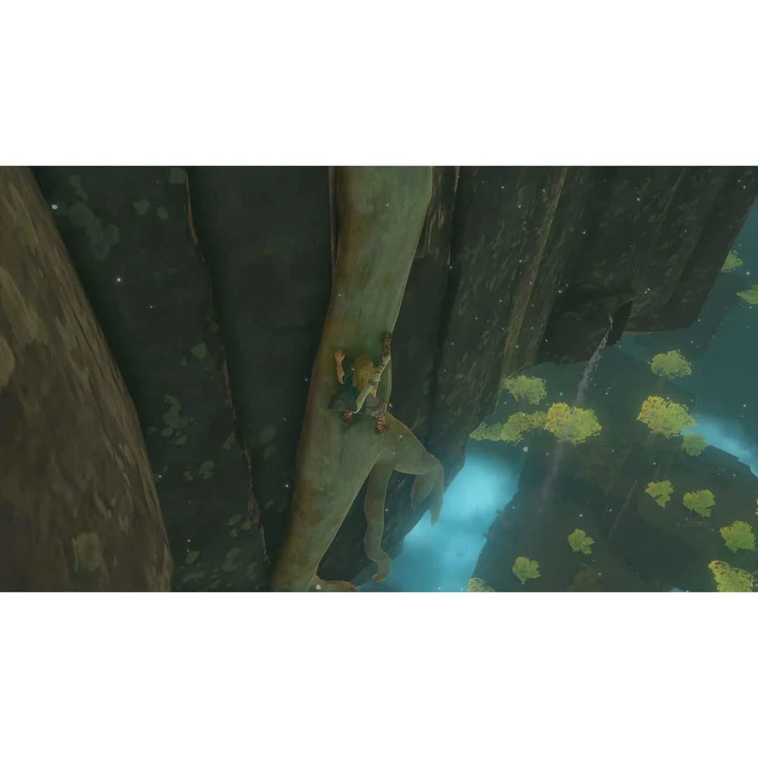 Foto 5 pulgar | Videojuego Nintendo Switch The Legend Of Zelda Tears Of The Kingdom - Venta Internacional.