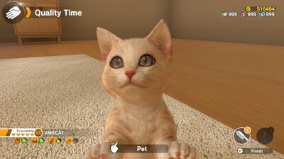 Foto 6 | Videojuego Nintendo Switch Little Friends Dogs & Cats - Venta Internacional.