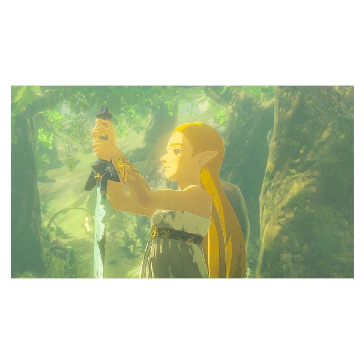 Foto 6 pulgar | Nintendo Switch 2 Juego The Legend Of Zelda Breath Of The Wild