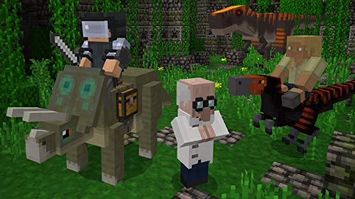 Foto 7 | Videojuego Playstation Minecraft Starter Collection Ps4 - Venta Internacional.