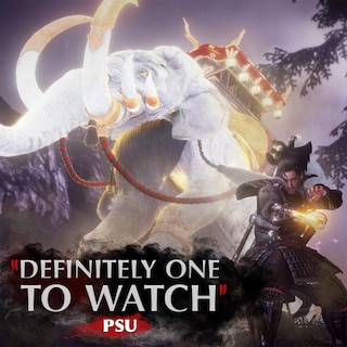 Foto 3 | Videojuego Playstation Nioh 2 Para Ps4 - Venta Internacional.