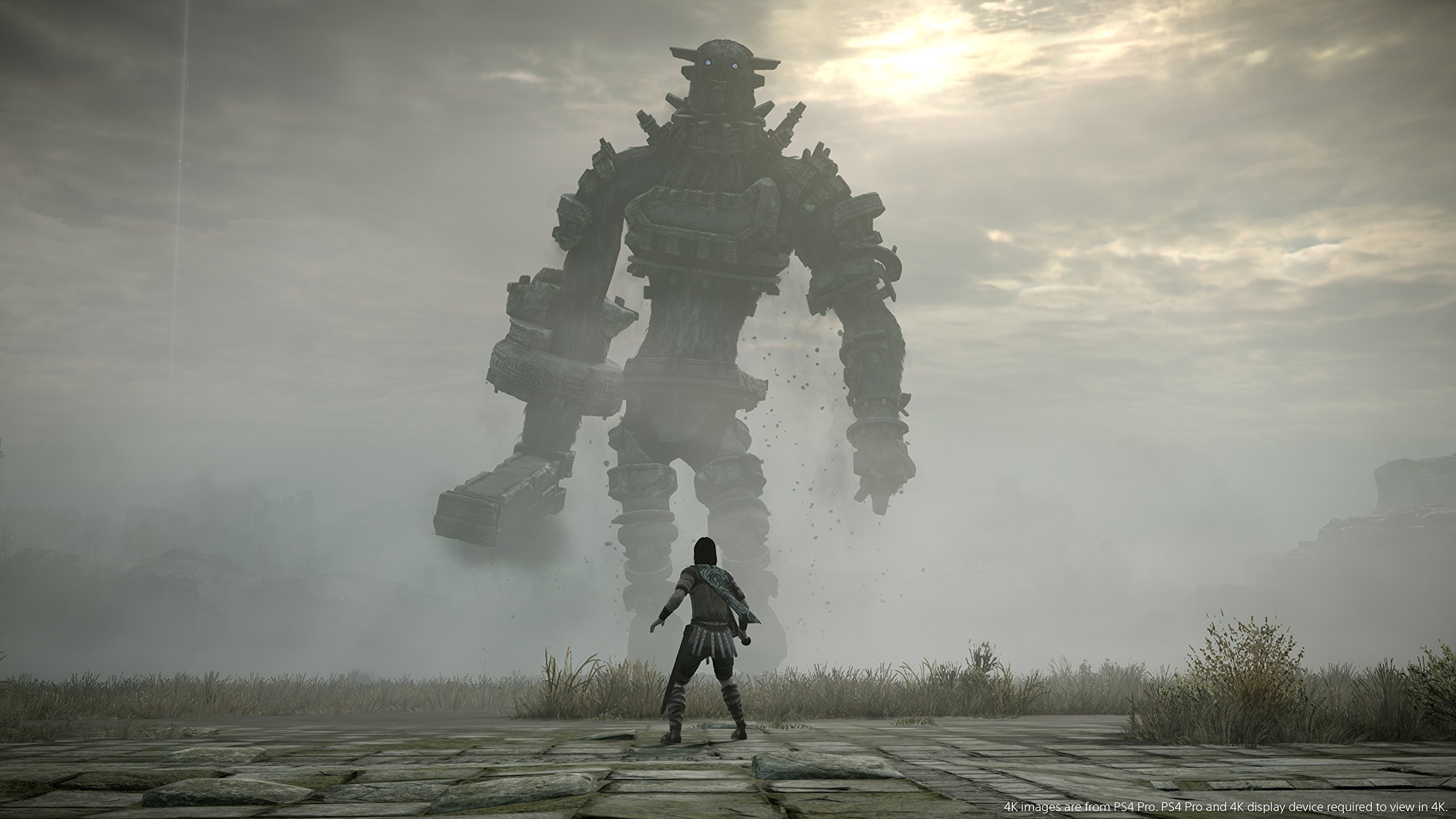 Foto 3 pulgar | Videojuego Sony Shadow Of The Colossus Para Ps4 - Venta Internacional.